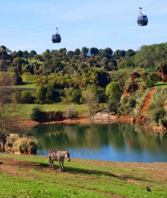 Bonito Piso En Solares, Entre Valles Pasiegos Y Playas Entrambasaguas  エクステリア 写真